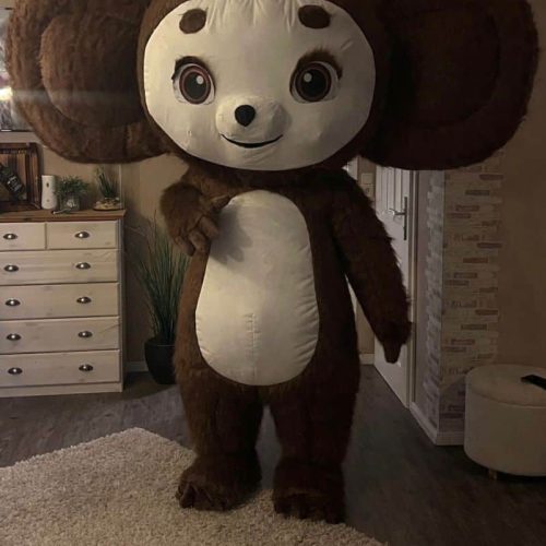 WhatsApp Image 2026-01-19 at 12.45.57